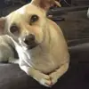 KELLER - @keller.davis - TikTok