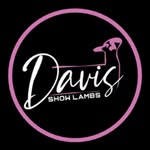 Davis Show Lambs - @davisshowlambs - Instagram