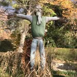 Davis Lambert - @onebardavy - Instagram