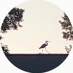 Davis Lambert - @lambert_outdoor_services - Instagram