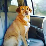 Davis Lambert - @d_a_lambert_14 - Instagram