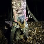 Davis Lane - @frog_frolicker720 - Instagram