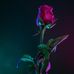 Davis Leon - Facebook