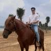 Nguyễn Luu - @davis_luu - TikTok
