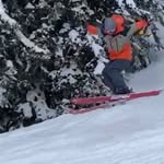 Davis Lyons - @davis.lyons - Instagram