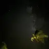 Davis Mitchell - @davis.mitchell1 - TikTok