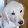 davismitchellb - @davismitchellb - TikTok