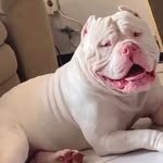 Davis Morales - @davismorales4455 - Instagram