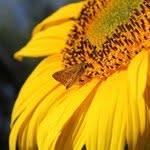 Davis Norris - @davisnorris - Instagram