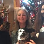 Susan Norris-Davis - @susannorrisdavis - Instagram
