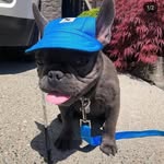 Davis Rodgers - @davis.rodgers.758 - Instagram