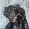 davisrodgers28428 - @davisrodgers28428 - TikTok