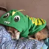 davisrodgersvi5868 - @davisrodgersvi5868 - TikTok
