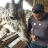 Davis Wallace - @davis.wallace - TikTok