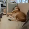 daviswallace03 - @davis.wallace0 - TikTok