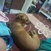 Davison Silva - Facebook
