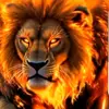 Davit Khachatryan - @davit.khachatryan37 - TikTok