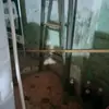 Arnold Davon - @arnold.davon - TikTok
