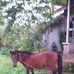 Arnold Montemor Davin - Facebook