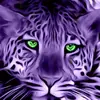 davonnabattle332 - @davonnabattle332 - TikTok