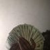 Devon Calloway - Facebook