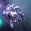 Davon collins - @oreosrgoated - TikTok