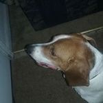 Davon Davis - @davon.davis.75873 - Instagram