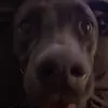 Davan Dawson - @davandawson9 - TikTok