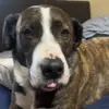 Davon Ellis - @davon.ellis1 - TikTok