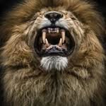 davon hall - @davon2638 - Instagram