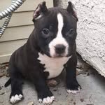 Davon Harrison - @star_allah_07 - Instagram