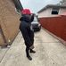 Davon Hill - Facebook