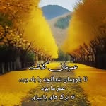 davood_ghorbani - @da.vood8808 - Instagram