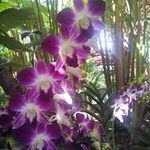 Davy Lam - @davymhlam - Instagram