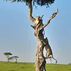 Davy man - @davy.man - TikTok