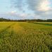 Davy Thach - Facebook