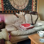 Davy Williams - @wedwarddavid - Instagram