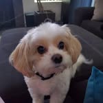 Dawana Brown - @dawana04 - Instagram