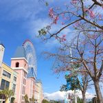 David - @dawei_wu - Instagram