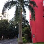 Dawei Wu - @dawei.wu.1804 - Instagram