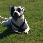 Dawid Janowski - @dawid4520 - Instagram