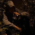 Dawid Janowski - @dacosik - Instagram