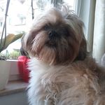 Dawid Janowski - @dawid.janowski.3511 - Instagram