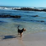 Dawie Smit - @dawie.smit.9 - Instagram