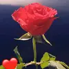 dawit hagos - @dawit.hagos112 - TikTok