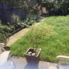 dawnabel298 - @dawnabel298 - TikTok