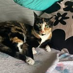 Dawn Abraham - @dawnabraham580 - Instagram