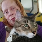 Dawn Ackerman - @redheadedmamma - Instagram