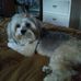 Dawn Ackerman - Facebook