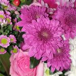 Dawn Ainsworth - @dawn.ainsworth.906 - Instagram